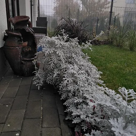 Prywatny Baltic Nova Władysławowo