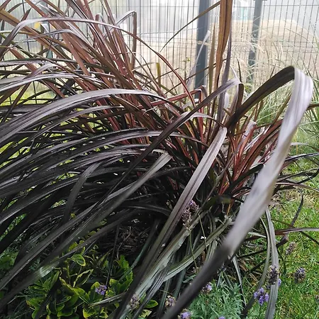 Prywatny Baltic Nova * Władysławowo