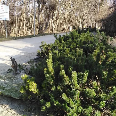 Prywatny Baltic Nova *