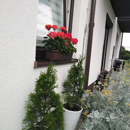 Prywatny Baltic Nova