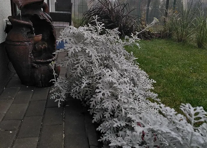 Prywatny Baltic Nova Władysławowo