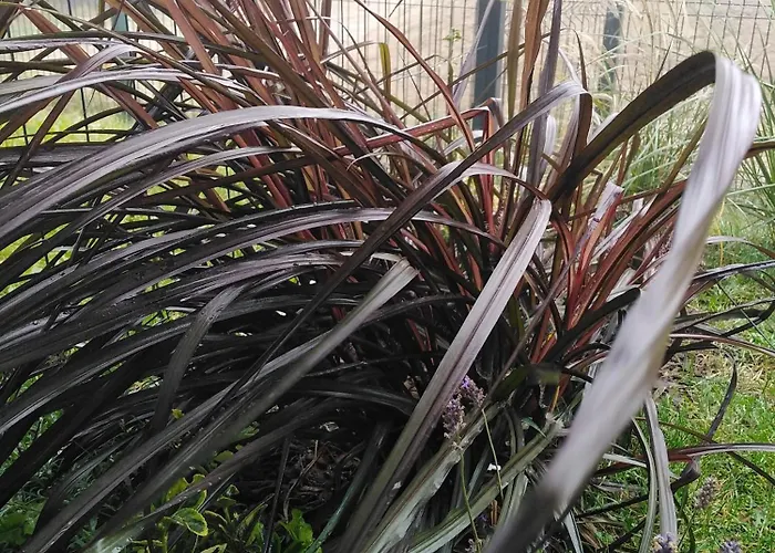 Prywatny Baltic Nova * Władysławowo