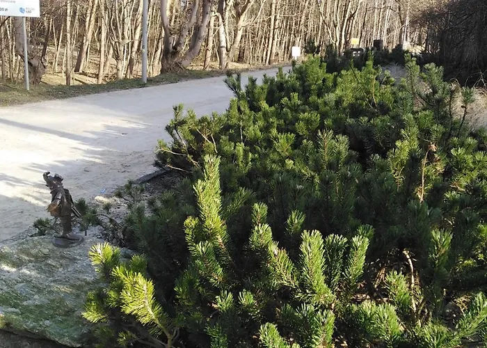 Prywatny Baltic Nova *