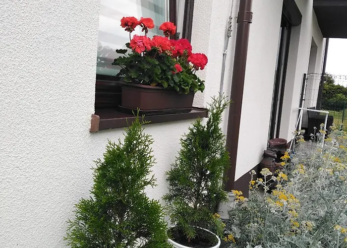 Prywatny Baltic Nova